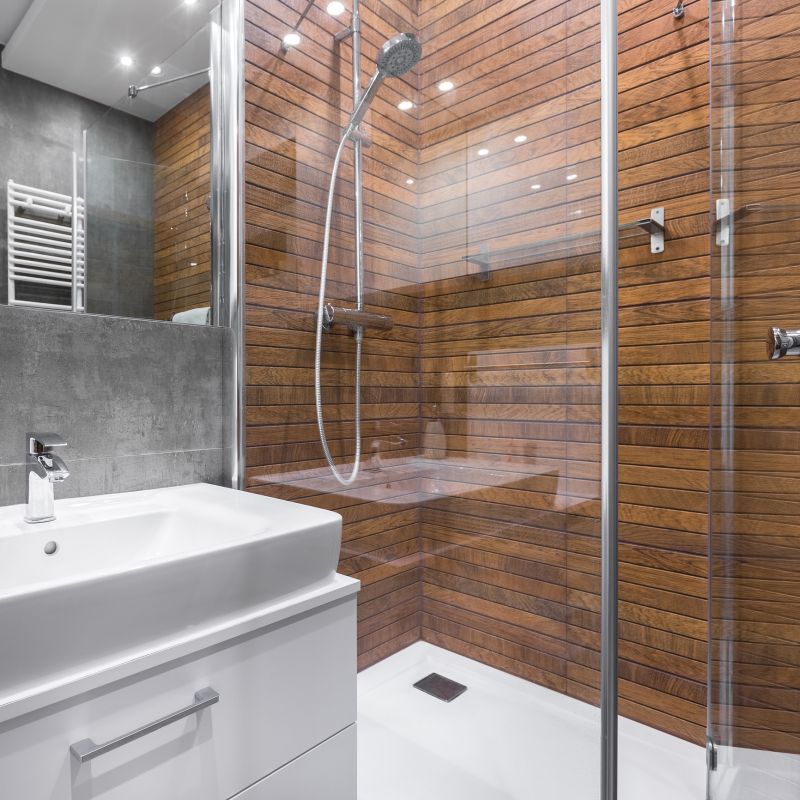 Modern Shower with Glass Doors